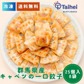 群馬県産の食材を使用した餃子 上州麦豚の餃子 群馬県産キャベツの大餃子 群馬県産キャベツの一口餃子 国産野菜 上州麦豚 使用 冷凍餃子 冷凍食品 冷凍惣菜 中華惣菜 点心 中華 中華料理 ギョーザ ギョウザ ぎょうざ 送料無料