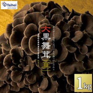 单u^v p 1kg MtgΉ 啽̂   ܂ }C^P ̂  Mtg ~Mtg 蕨v[g q? ICVbNX teruzv[