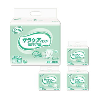 uhDR[|[V Ɩp t TPApbh rbO 18300 30×4 Apbh ARpbh ނ P[X̔