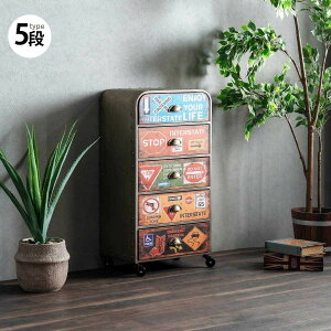 `FXg [`FXg LX^[t C_XgA Ƌ j[N AJ g46 RpNg X`[ 3i 5i 46cm  K[W rO  q o K[