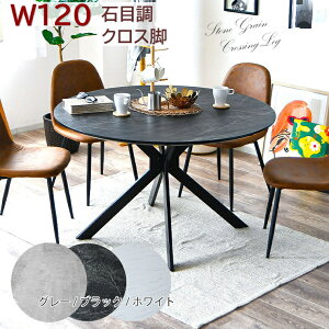 ~`_CjOe[u ی^ Eh T[N rO ~ 120cm Ζڒ }[u ubNbO ۂ NXr ~ ACA Pi ϋv ɋ  傫 4lp 
