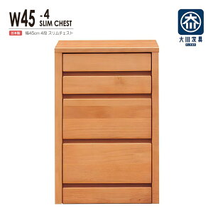 `FXg ^X [`FXg  ؐ  ߑP[X m^X 4i 45cm [Ƌ i rO`FXg ~j EH[NCN[[bg V[YN[[bg h[