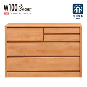 `FXg ^X [`FXg  ؐ  ߑP[X m^X 3i 100cm [Ƌ i rO o EH[NCN[[bg V[YN[[bg h[[