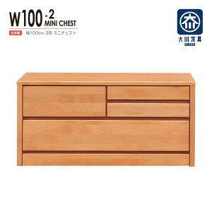 チェスト タンス ローチェスト たんす 木製 おしゃれ 衣装ケース 洋服タンス 2段 幅100cm 収納家具 完成品 リビングチェスト 収納チェスト 引き出し収納 整理タンス 収納 収納ケース 引き出し