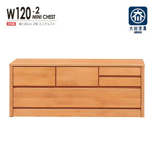 チェスト タンス ローチェスト たんす 木製 おしゃれ 衣装ケース 洋服タンス 2段 幅120cm 収納家具 完成品 リビングチェスト 収納チェスト 引き出し収納 整理タンス 収納 収納ケース 引き出し
