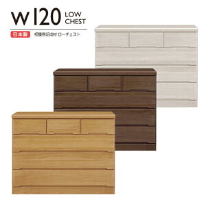 `FXg ^X [`FXg  ؐ  ߑP[X  m^X 4i 120cm [Ƌ i rO`FXg [`FXg o[ ^X [ [P[X o