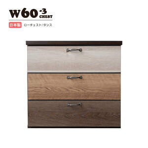 `FXg ^X [`FXg  ؐ  EH[NCN[[bg V[YN[[bg h[[ ߑP[X m^X 3i 60cm [Ƌ i rO o