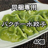 ＼銘柄 岩中ポーク／【※同梱専用】もちもち国産パクチー水餃子40個 送料無料 大きい もちもち 冷凍餃子 …