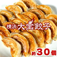 もちもち国産ジャンボ大宝餃子30個 送料無料 銘柄豚岩中 大きい もちもち 冷凍餃子 焼餃子 餃子 豚肉 野…