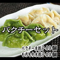 もちもち国産ジャンボ水餃子40個＆パクチー水餃子40個 大きい 水餃子 餃子 銘柄豚岩中 豚肉 野菜 おつま…