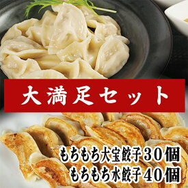 【銘柄豚岩中】もちもち国産ジャンボ餃子30個×水餃子40個セット 送料無料 銘柄豚 岩中 中華惣菜 横浜中華 冷凍餃子 生餃子 豚肉 おうちごはん おかず 冷凍食品 おすすめ 大きい ぎょうざ ギョーザ にんにく 肉汁 お取り寄せ なべ　グルメ 母の日 ギフト プレゼント