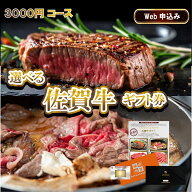 選べる 佐賀牛 ギフト 3000 A4 A5ランク 極撰佐賀牛 すき焼き ステーキ 焼肉 カタログギフト 贈答 内祝い…