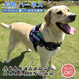 【名入れ可】送料無料 犬 ハーネス 名前 胴輪 単品 名入れ イニシャル 簡単装着 引っ張り防止 抜けない 小型犬 中型犬 大型犬 かわいい 散歩 お出かけ アウトドア 迷子防止 通気性 ナイロン マジックテープ ハンドル付き