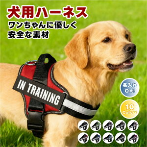 �_P5�{+10%OFF�ŃN�[�|���^�y������z�������� �� �n�[�l�X ���O ���� �P�i ������ �C�j�V���� �ȒP���� ��������h�~ �����Ȃ� ���^�� ���^�� ��^�� ���킢�� �U�� ���o���� �A�E�g�h�A ��