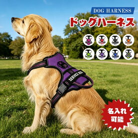 【名入れ可】犬 ハーネス 名前入り 名入れ 胴輪 抜けない 簡単装着 引っ張り防止 小型犬 中型犬 サイズ調節可能 通気性 メッシュ マジックテープ 夜間反射 ナイロン ハンドル付き 迷子防止 おしゃれ かわいい 散歩 お出かけ アウトドア ペット用品