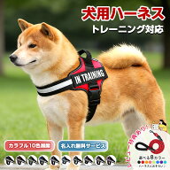 【期間限定！10%OFF+P5倍】【名入れ可】レビュー特典あり★犬 ハーネス 名前 胴輪 単品 名入れ イニシャ…