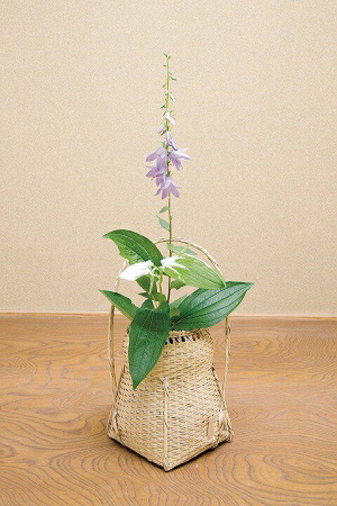 楽天市場】茶道具 花入・花籠方円籠 即中斎好写上塗り竹入子 付 : 佐藤 