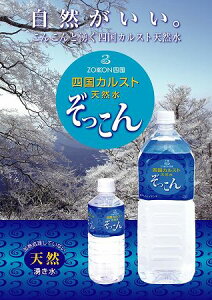 四国カルストのミネラルウォーター天然の湧き水 「ぞっこん」2リットル 1ケース( 6本入り )