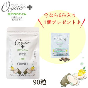 yr[v[gLy[zICX^[vX ˓̂߂ 90 pE`^CvɂȂ܂h{@\Hiir^~CAt_j