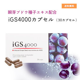 瞬芽ブドウ種子エキス配合　iGS4000 カプセル（30カプセル）