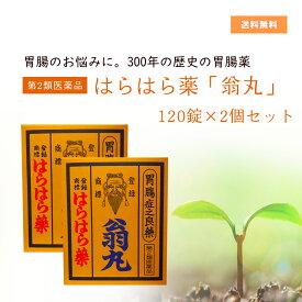 【第2類医薬品】はらはら薬「翁丸」(おきながん) 120錠 2個セット 送料無料