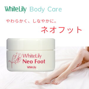  N[ p J`J` Ђъ 邨  zCg[ lItbg