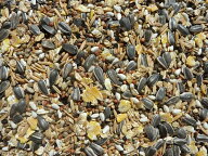 大型インコの餌 20kg 大型インコ 餌 フード インコのエサ インコの餌 インコえさ インコエサ ヨウム おや…
