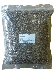 ̎@4kg@ng@@^CR@IJCR@VWEJ@}K@nX^[@X@@̎