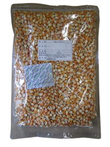 嗱gERV@1kg@[Y@gERV@Ƃ낱@ngGT@t[h@̉a@@nX^[