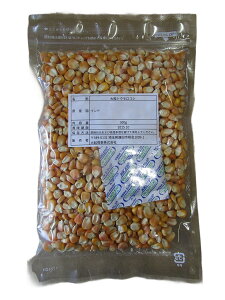 嗱gERV@300g@[Y@gERV@Ƃ낱@ngGT@t[h@̉a@@nX^[