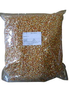 嗱gERV@10kg@[Y@gERV@Ƃ낱@ngGT@t[h@̉a@@nX^[