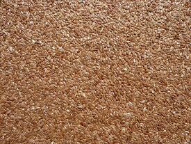 アマニシード　5kg　アマニ　小鳥の餌　フィンチ　インコ　亜麻の種