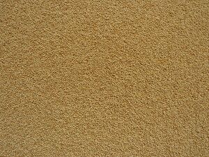 A}TX@1kg@@tB`@CR@@LJ`E@\o@Ji@J[