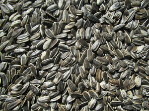 嗱q}@200g@Ђ܂@^CR@^CR@E@@X@nX^[