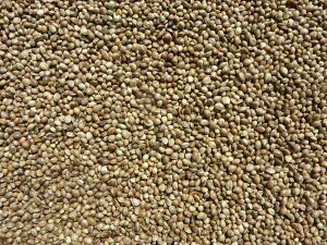 ̎@1kg@ng@@^CR@IJCR@VWEJ@}K@nX^[@X@