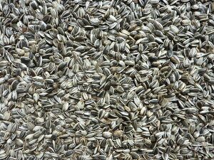 q}@200g@IJCR@^CR@^CR@E@nX^[@X