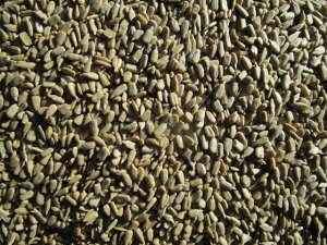 Lq}@1kg@q}@kȂq}@Ȃq}@q}@^CR@^CR@CR@nX^[@X@