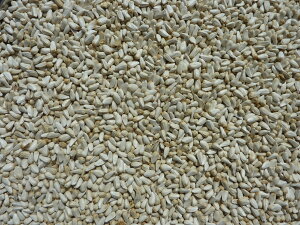 Tt@1kg@@^CR@^CR@nX^[@X@@̉a @̂