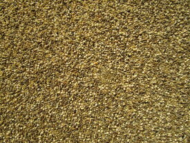 小鳥　皮付きミックス　1kg　皮付き　文鳥　十姉妹　セキセイインコ　キンカチョウ　コキンチョウ　フィンチ　中型インコ　ムキアワ　キビ　カナリーシード　皮付きミックス　餌忘れ防止