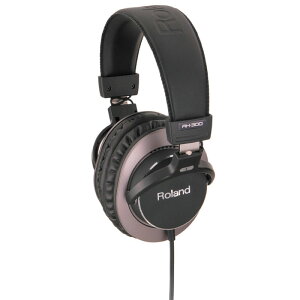 ROLAND ( ローランド ) / RH-300 モニターヘッドホン