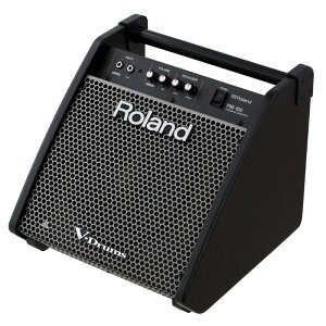 ROLAND ( [h ) / PM-100