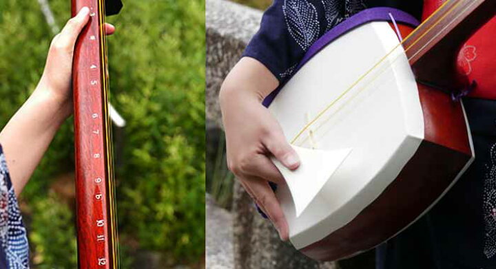 鈴木楽器製作所 三味線セット 花梨21点セット 皮は犬皮を使用した伝統的な三味線セット 本体と棹に花梨