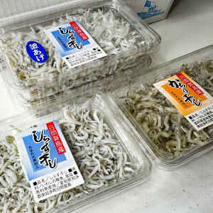 y①zԉ꓇炷Hה3ZoGeBZbg