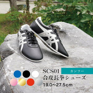 SCS01璷V[Y  v Jt[V[Y V[Y Ɍ ` X^_[h { Y 