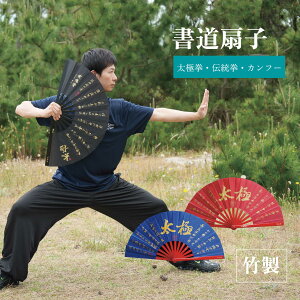 【レビューを書いてプレゼント】 書道文字 書道体 太極扇 カンフー扇 中国武術 武縁堂 細め 伝統 扇 扇子 中国扇子 龍 デザイン 赤 黒 かっこいい コスプレ 送料無料 団体演武 ねんりんピッ