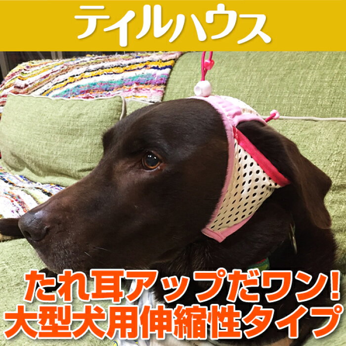 楽天市場 たれ耳 外耳炎 犬 たれ耳犬 犬の健康 耳の病気 耳のケア