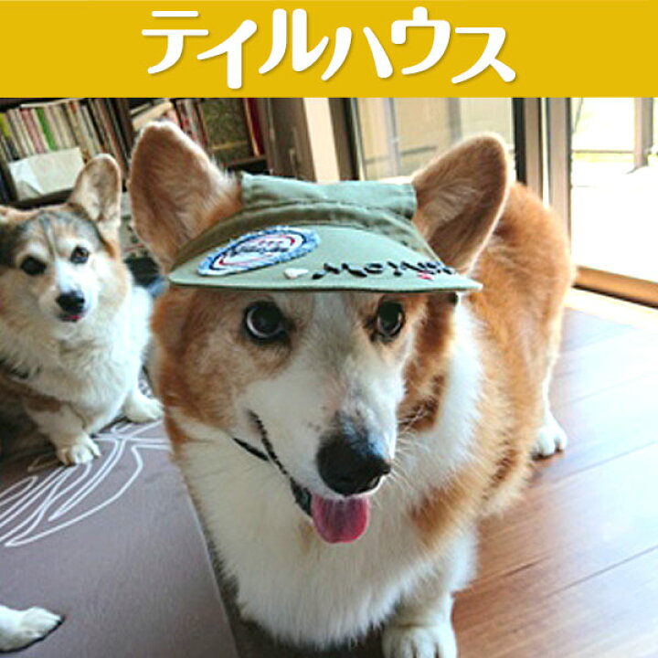 楽天市場 耳上げサンバイザー 中型犬用mサイズ たれ耳犬 スポーティー カジュアル かっこいい 紫外線対策 犬の健康 耳の病気 耳のケア 外耳炎 通気性 ジメジメ じめじめ ビーグル アメリカンコッカー 中型犬 Tailhouse テイルハウス 楽天市場 耳上げサンバイザー 中型犬用mサイズ たれ耳犬 スポーティー カジュアル かっこいい 紫外線対策 犬の健康 耳の病気 耳のケア 外耳炎 通気性 ジメジメ じめじめ ビーグル アメリカンコッカー 中型犬 Tailhouse テイルハウス