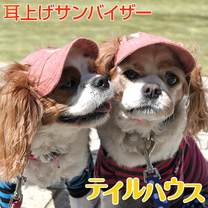 yグToCU[ ^pSTCYzꎨ@X|[eB[@JWA@@O΍@̌N@̕aC@̃PA@O@ʋC@WW@߂߁@}`