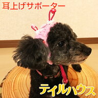 たれ耳　外耳炎　犬　たれ耳犬　犬の健康　耳の病気　耳のケア　通気性　ジメジメ　じめじめ　マラセチア…