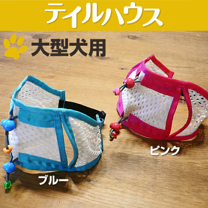 楽天市場 たれ耳 外耳炎 犬 たれ耳犬 犬の健康 耳の病気 耳のケア 通気性 ジメジメ じめじめ マラセチア菌 耳上げ たれ耳アップ ゴールデンレトリーバー ラブラドールレトリーバー 大型犬 伸縮性フィット 犬用サポーター たれ耳アップだワン Tailhouse テイルハウス